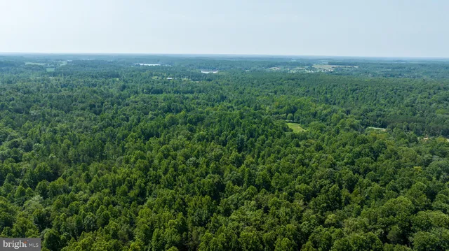 a view of a green field with lots of bushes