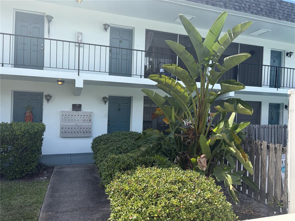 1485 Lakeview Road, Unit 5 Clearwater, FL 33756 - Photo 2 of 3 a front view of a house with a plant