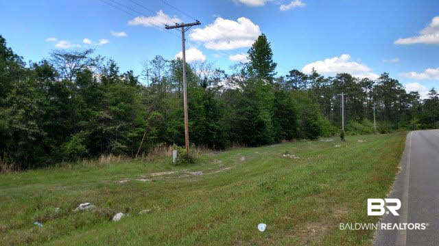0 County Road 68 Loxley, AL 36551 - Photo 4 of 6