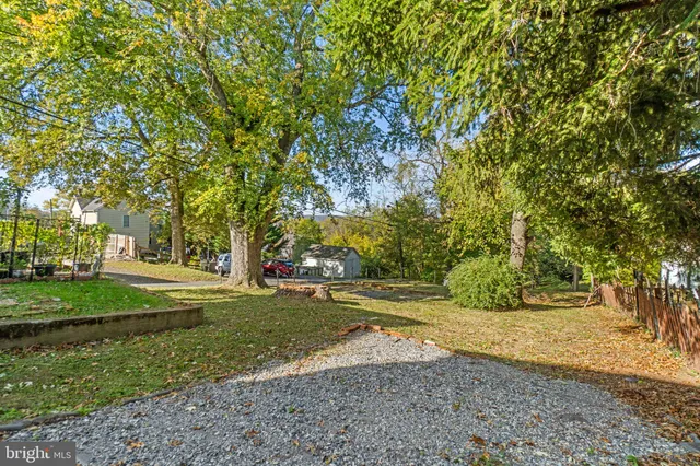 a view of a park with large trees