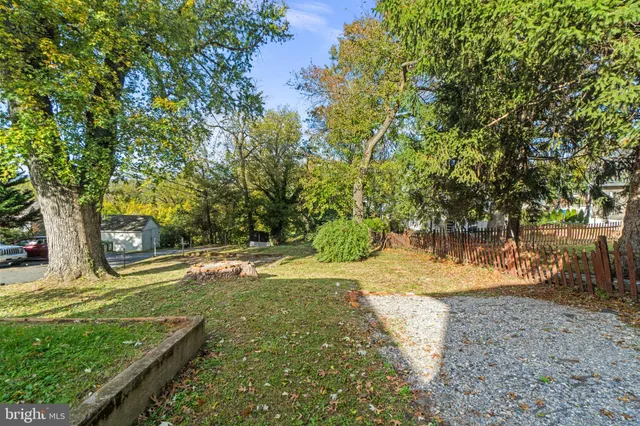 a view of a yard with plants and trees