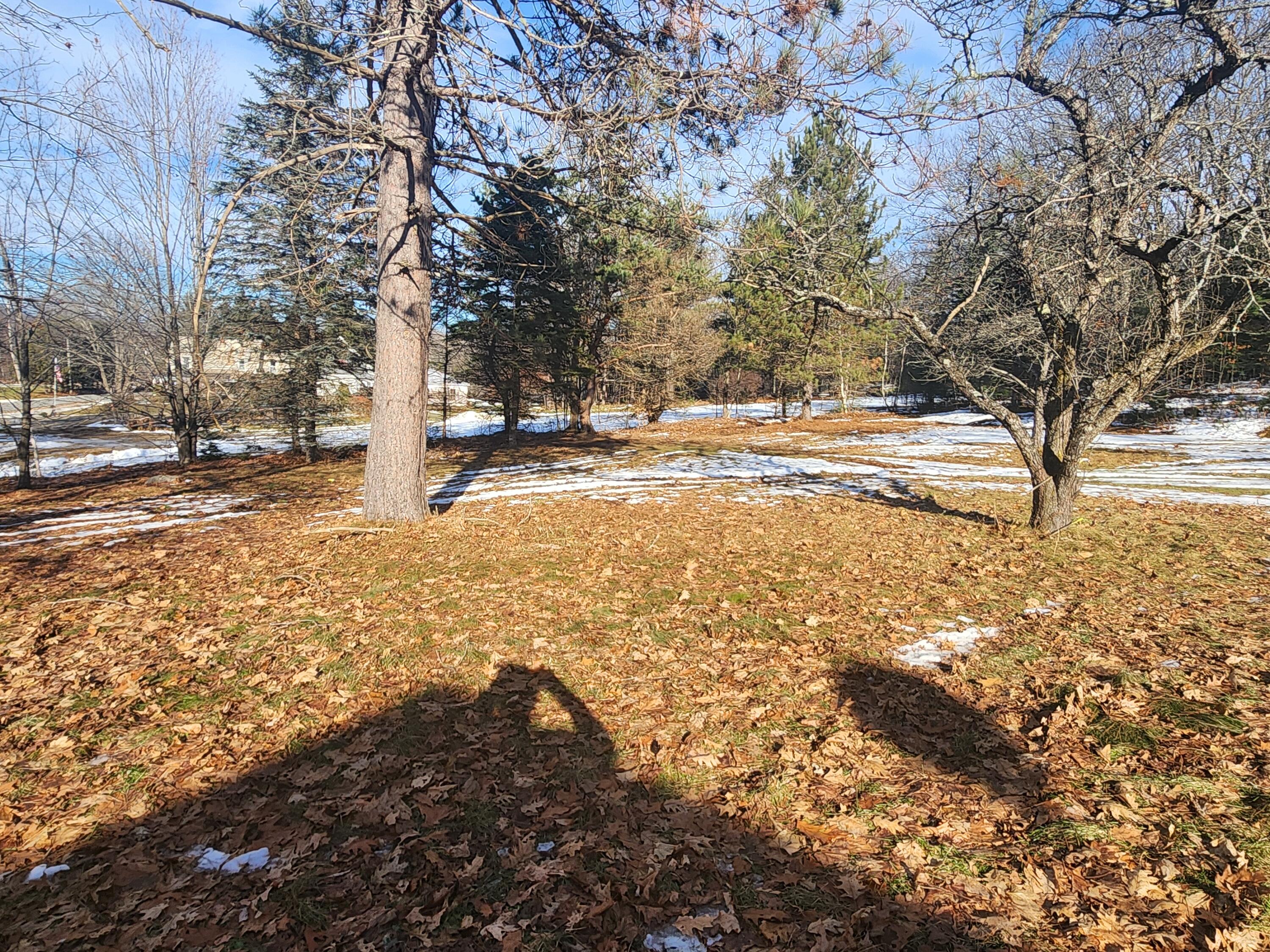 143 Macomber Hill Road Jay, ME 04239 - Photo 11 of 36 20231212_115918
