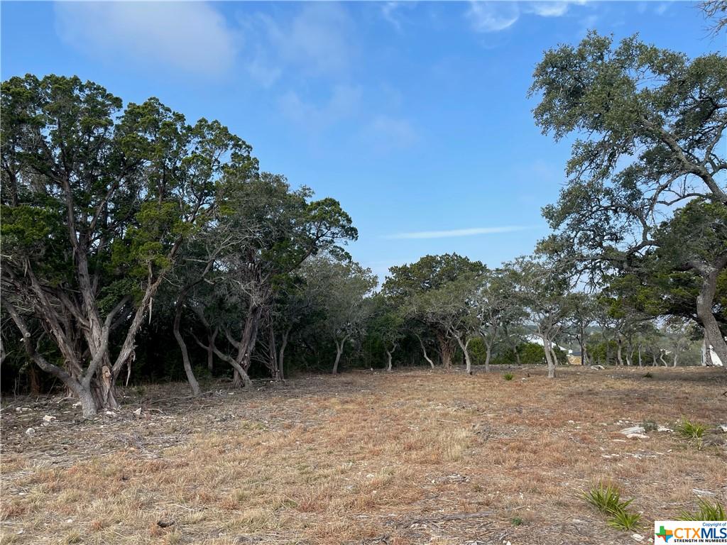 Tbd Primrose Path, Unit 5 Spring Branch, TX 78070 - Photo 1 of 1 Gallery Image 1