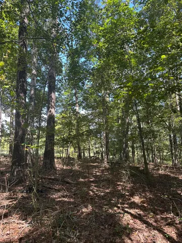 $32,500 | Lot 13 Hickory Hollow, Unit 13, Tracy City, TN 37387