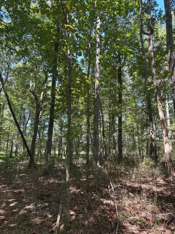$32,500 | Lot 13 Hickory Hollow, Unit 13, Tracy City, TN 37387
