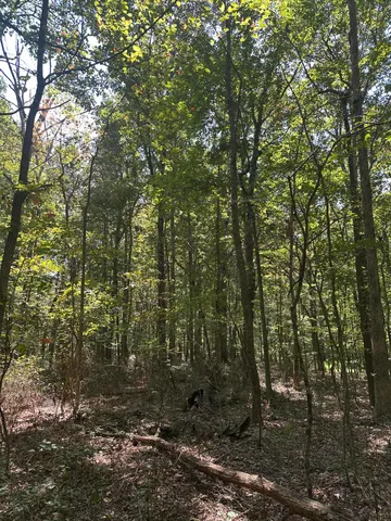 $32,500 | Lot 13 Hickory Hollow, Unit 13, Tracy City, TN 37387