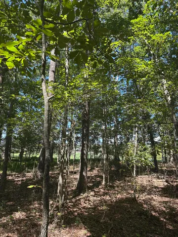 $32,500 | Lot 13 Hickory Hollow, Unit 13, Tracy City, TN 37387
