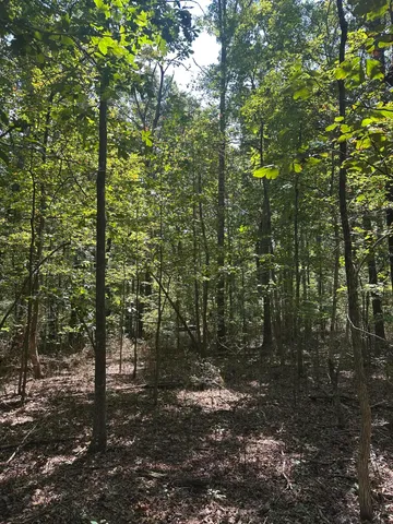 $32,500 | Lot 13 Hickory Hollow, Unit 13, Tracy City, TN 37387