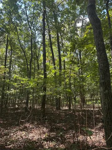 $32,500 | Lot 13 Hickory Hollow, Unit 13, Tracy City, TN 37387