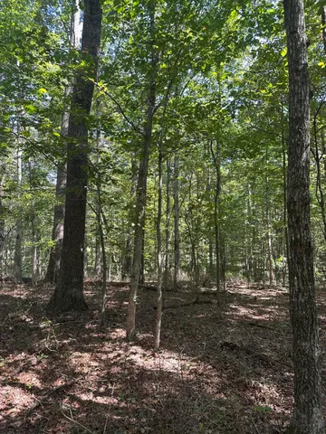 $32,500 | Lot 13 Hickory Hollow, Unit 13, Tracy City, TN 37387