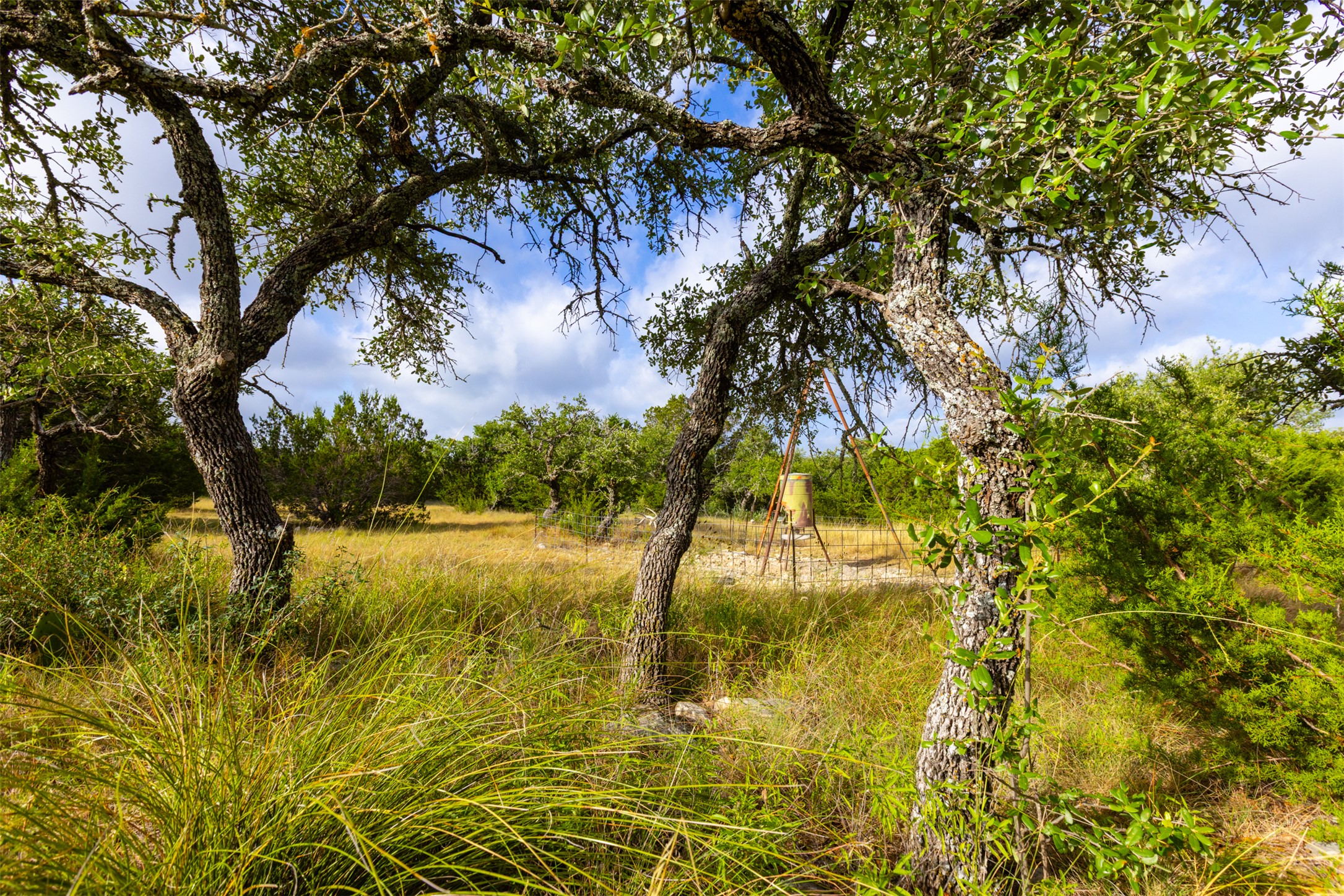 572 Turner Road Menard, TX 76859 - Photo 20 of 40 Gallery Image 20