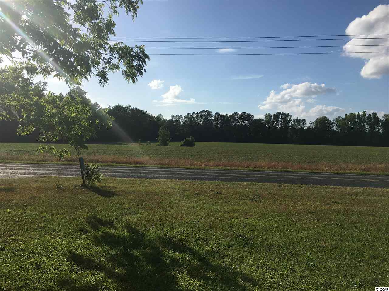 52-ac Bartells Road Hemingway, SC 29554 - Photo 1 of 1