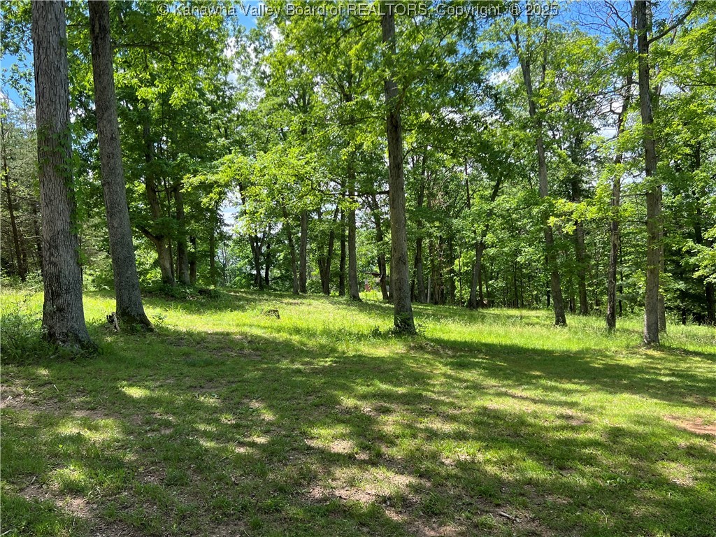 849 Random Road Ripley, WV 25271 - Photo 18 of 24 Gallery Image 18