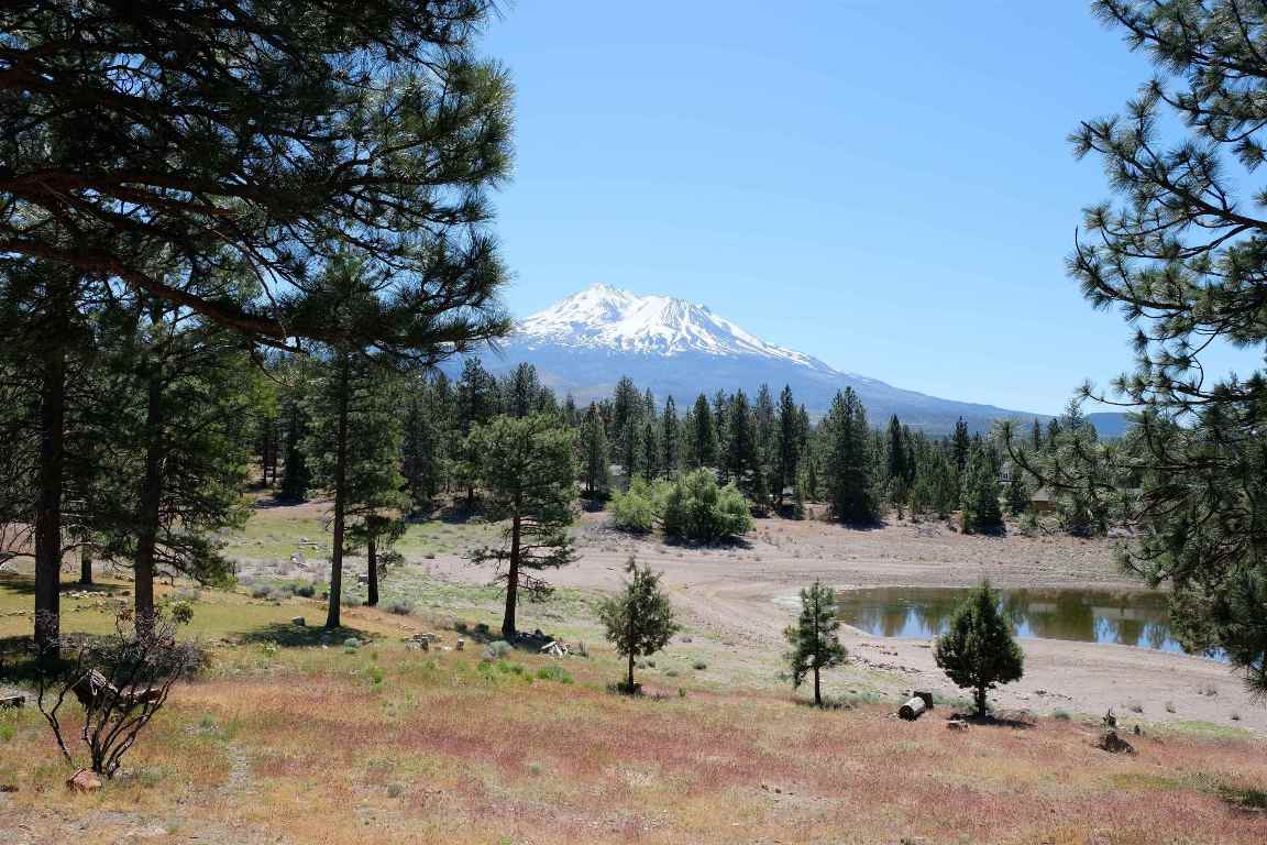 Lot 82 Spear Point Road Weed, CA 96094 - Photo 2 of 8 Gallery Image 2