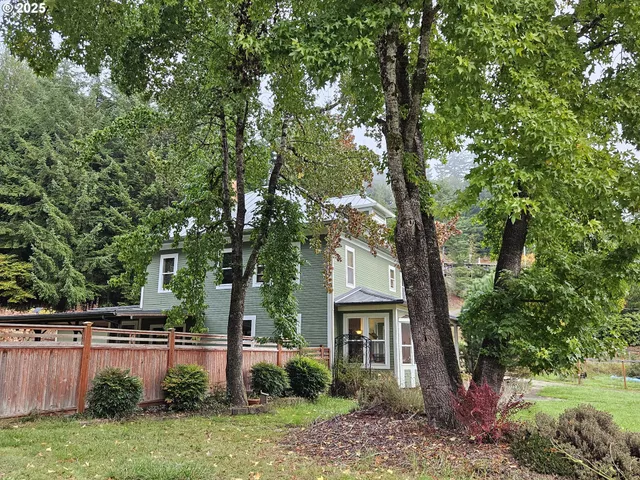a view of a garden with plants and large trees