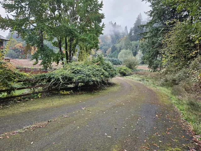 a view of a road with plants and trees