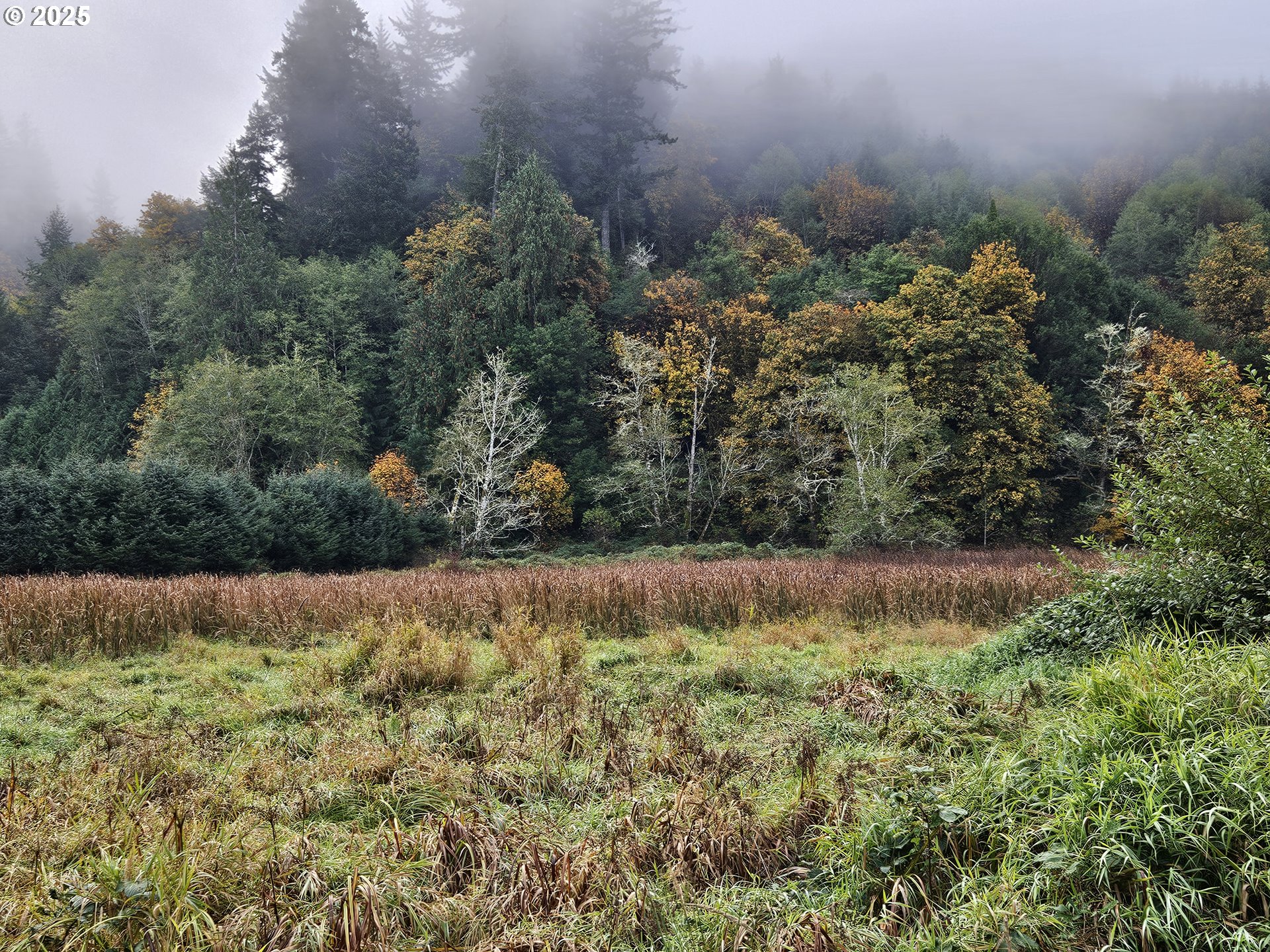 63674 Daniels Creek Road Coos Bay, OR 97420 - Photo 41 of 42