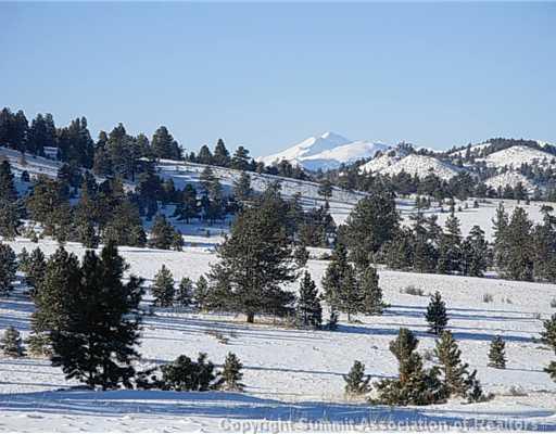 340 Mesa Road Hartsel, CO 80449 - Photo 1 of 10