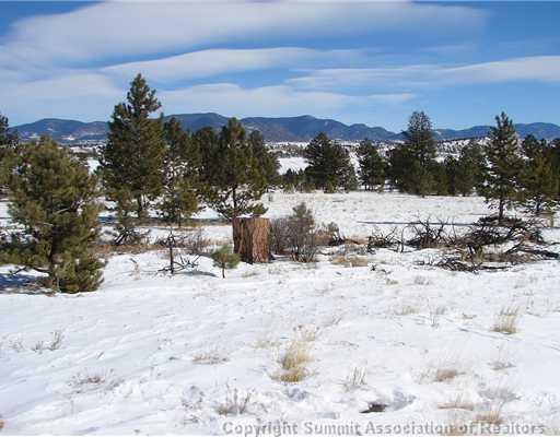 340 Mesa Road Hartsel, CO 80449 - Photo 3 of 10