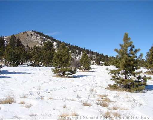 340 Mesa Road Hartsel, CO 80449 - Photo 4 of 10