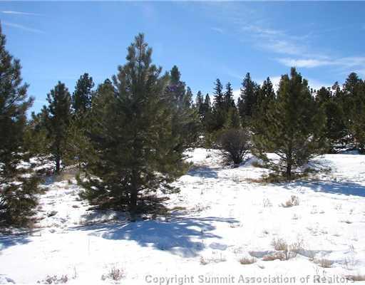 340 Mesa Road Hartsel, CO 80449 - Photo 5 of 10