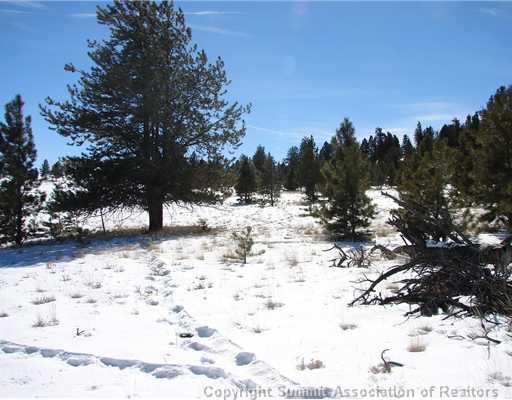 340 Mesa Road Hartsel, CO 80449 - Photo 7 of 10