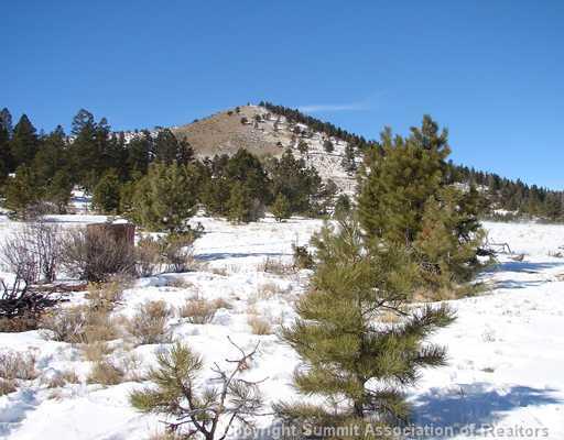 340 Mesa Road Hartsel, CO 80449 - Photo 8 of 10