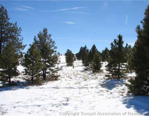 340 Mesa Road Hartsel, CO 80449 - Photo 10 of 10