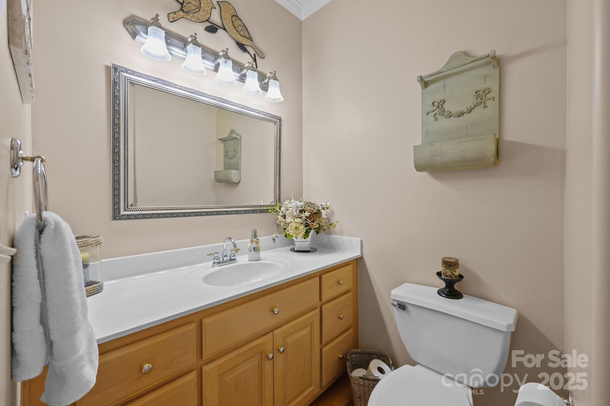 17200 Randalls Ferry Road Norwood, NC 28128 - Photo 24 of 48 a bathroom with a toilet a sink and mirror