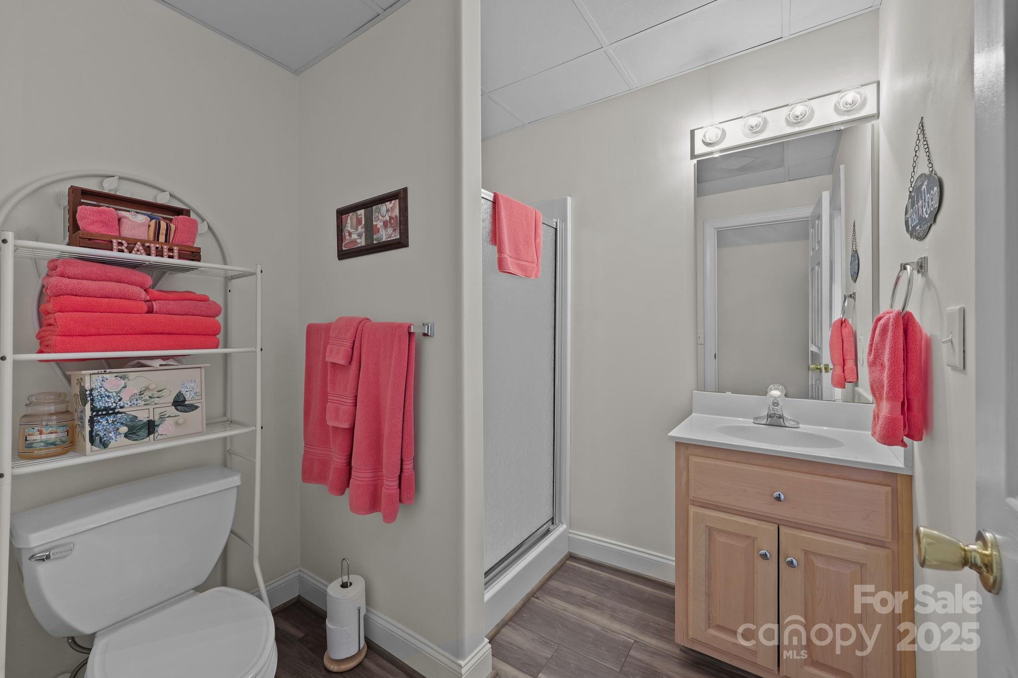 17200 Randalls Ferry Road Norwood, NC 28128 - Photo 35 of 48 a bathroom with a sink vanity mirror and toilet