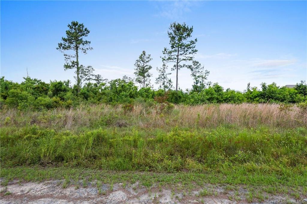 0 Harvey Parker Road Dequincy, LA 70633 - Photo 6 of 8