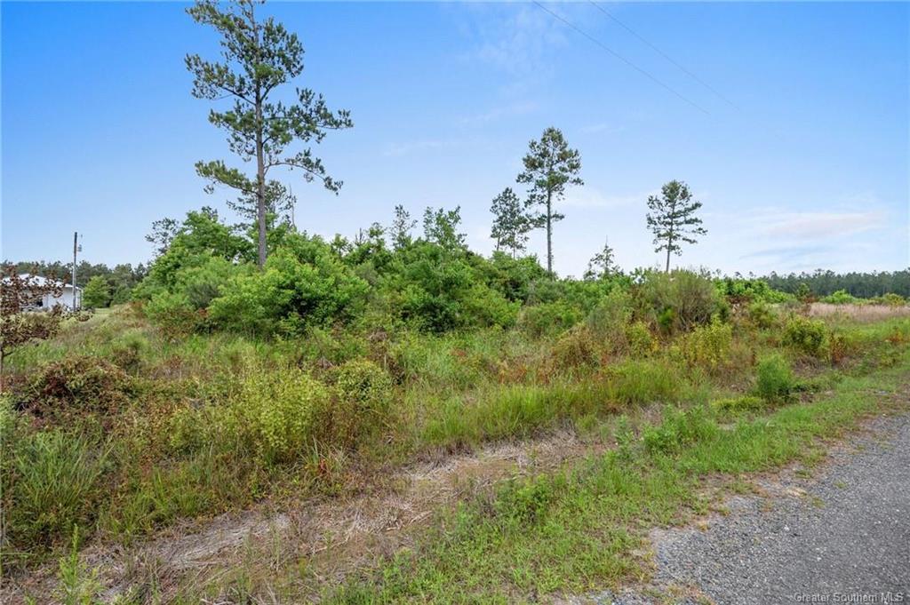 0 Harvey Parker Road Dequincy, LA 70633 - Photo 7 of 8