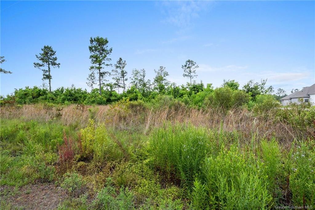 0 Harvey Parker Road Dequincy, LA 70633 - Photo 8 of 8
