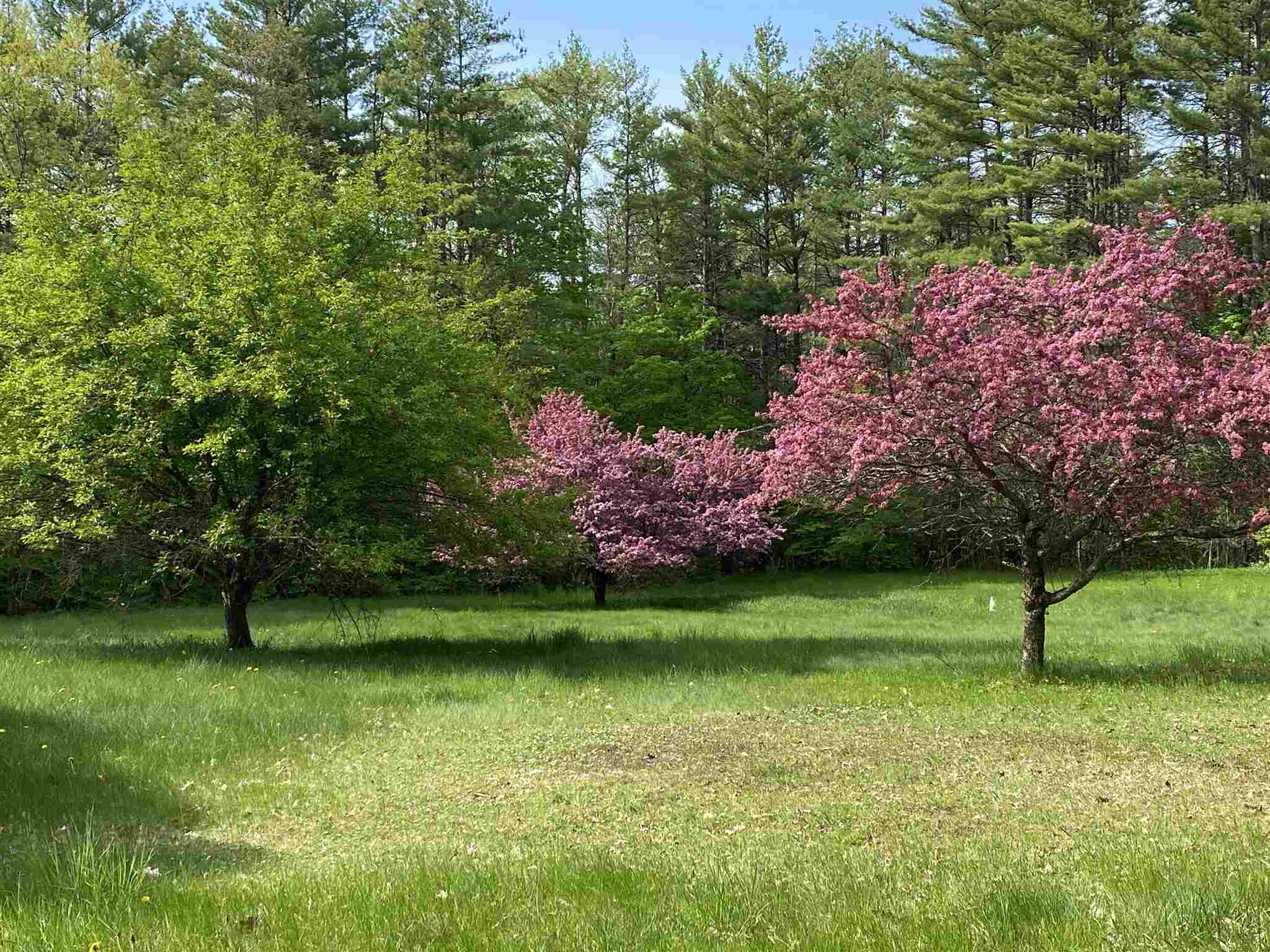 47 Grout Road Hartland, VT 05048 - Photo 6 of 40
