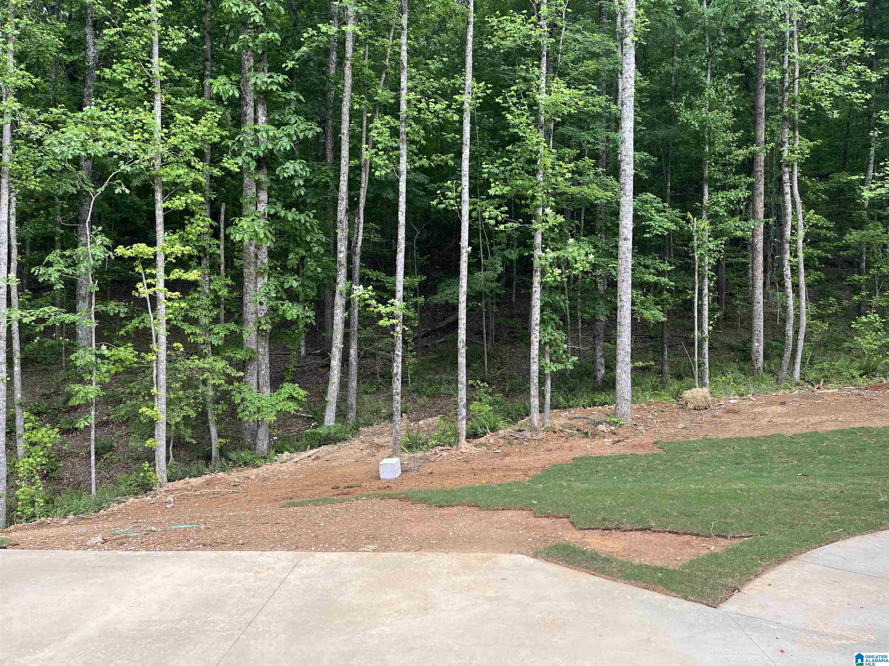 2112 Grey Oaks Terrace Pelham, AL 35124 - Photo 14 of 20