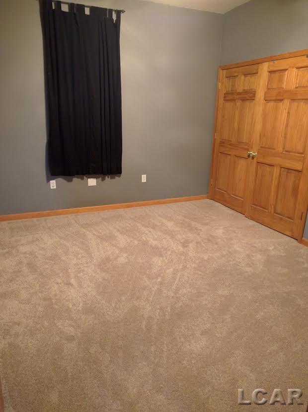 13803 Highway 223 Riga, MI 49276 - Photo 8 of 21 31271944-7.JPG