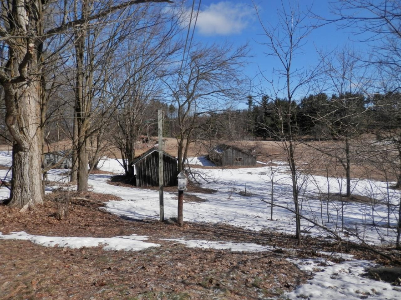 8790 Ruttan Road Northwest Alden, MI 49612 - Photo 27 of 43 Storage building on the property