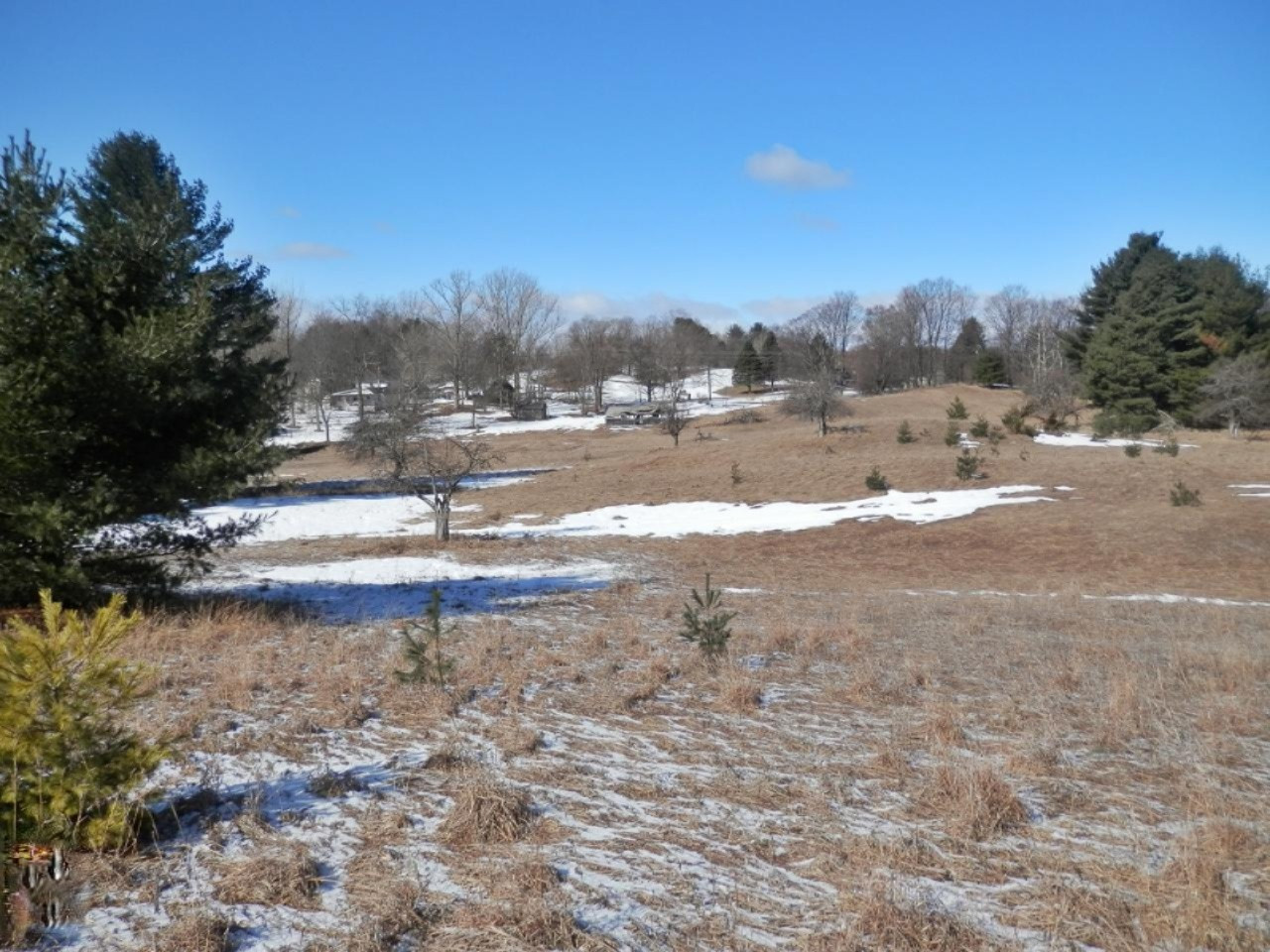 8790 Ruttan Road Northwest Alden, MI 49612 - Photo 3 of 43 Rolling meadows perfect for horses