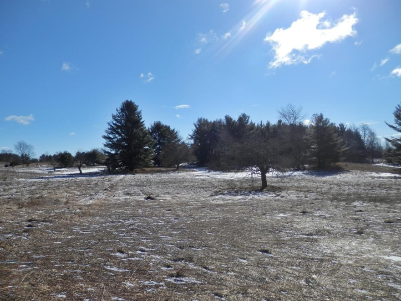 8790 Ruttan Road Northwest Alden, MI 49612 - Photo 31 of 43 58 acres of meadow and woods