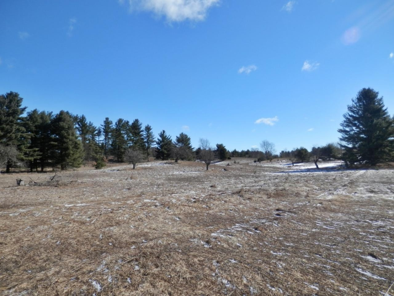 8790 Ruttan Road Northwest Alden, MI 49612 - Photo 32 of 43 58 acres
