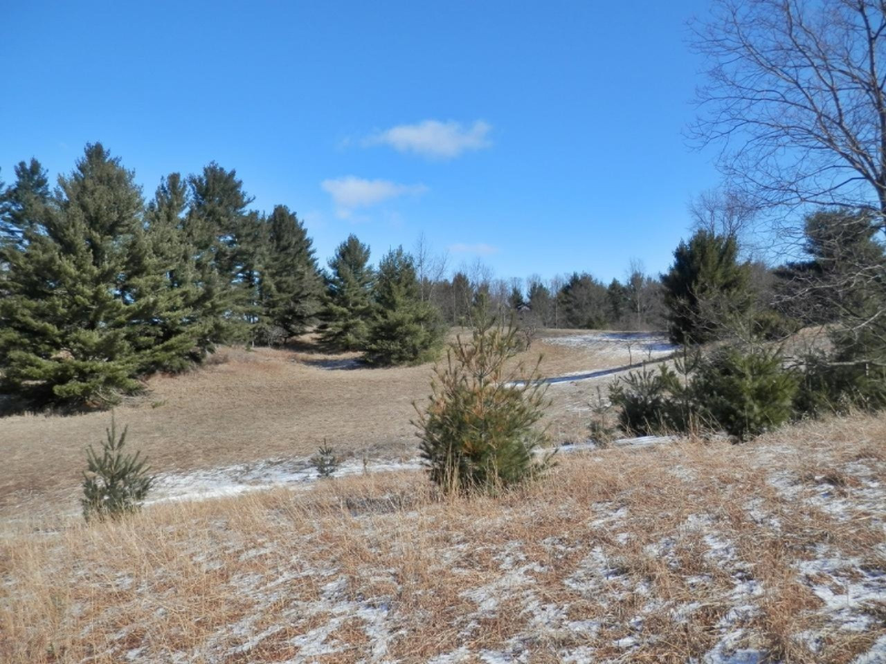 8790 Ruttan Road Northwest Alden, MI 49612 - Photo 34 of 43 Rolling land