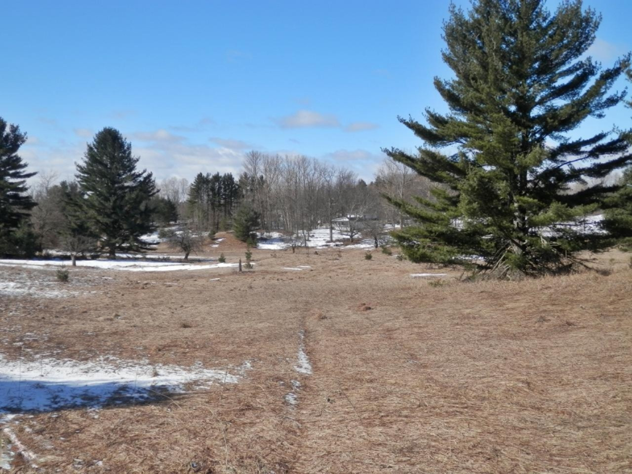 8790 Ruttan Road Northwest Alden, MI 49612 - Photo 35 of 43 Acreage