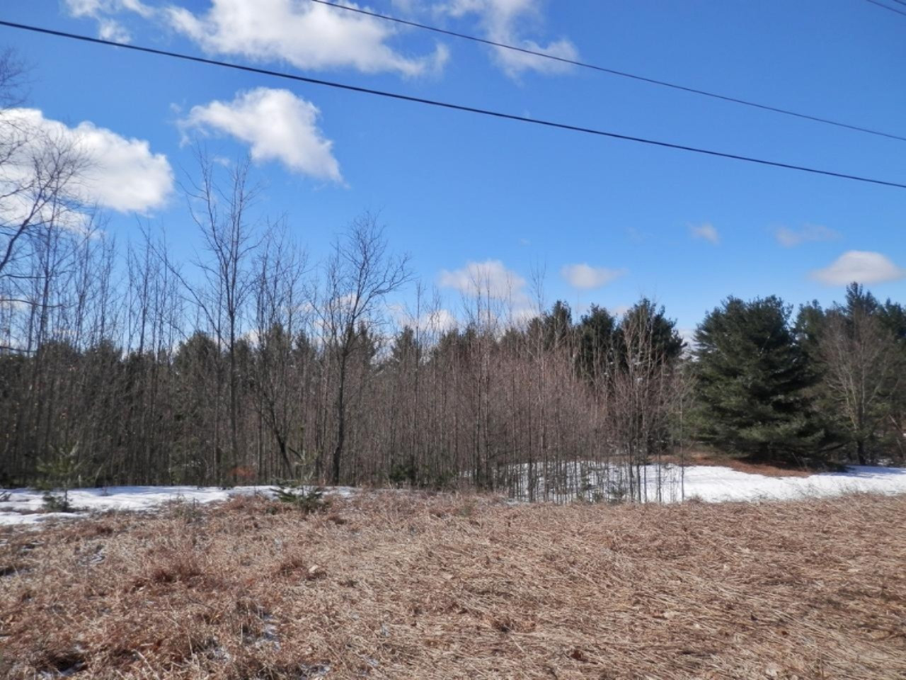 8790 Ruttan Road Northwest Alden, MI 49612 - Photo 37 of 43 Acreage