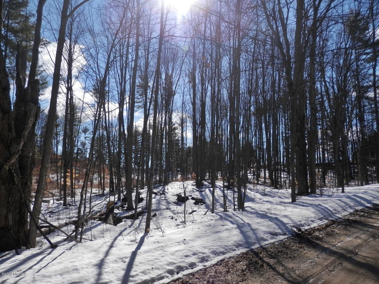 8790 Ruttan Road Northwest Alden, MI 49612 - Photo 39 of 43 Hardwoods along road