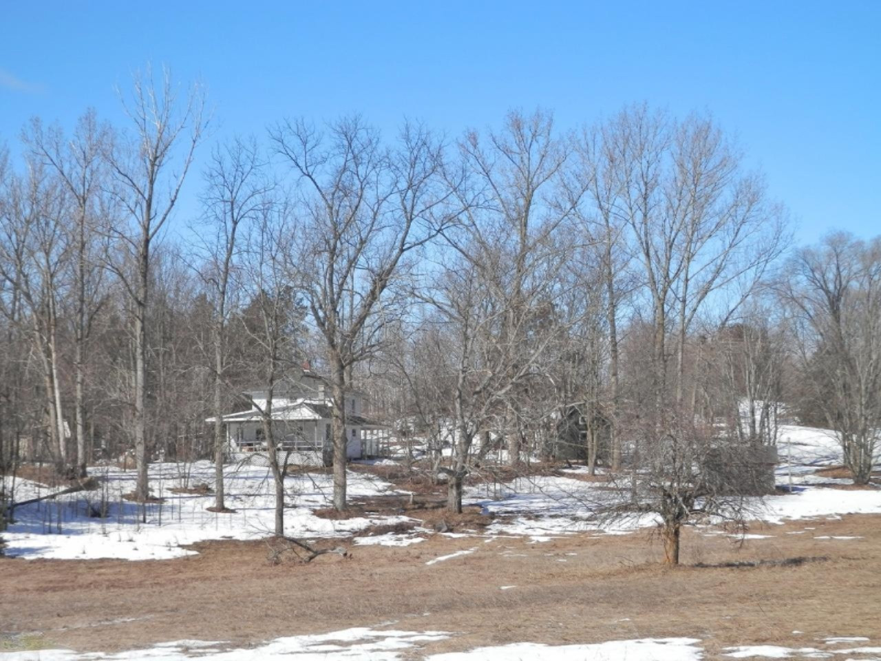 8790 Ruttan Road Northwest Alden, MI 49612 - Photo 6 of 43 Back of home from the back acreage