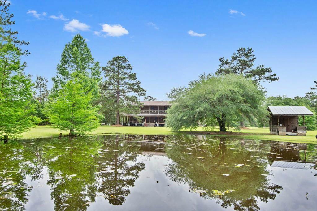 52320 Sullivant Road Folsom, LA 70437 - Photo 10 of 12 Gallery Image 10