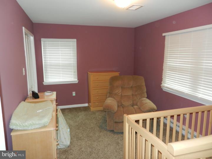 2483 Leisczs Bridge Road Reading, PA 19605 - Photo 21 of 23 Gallery Image 21