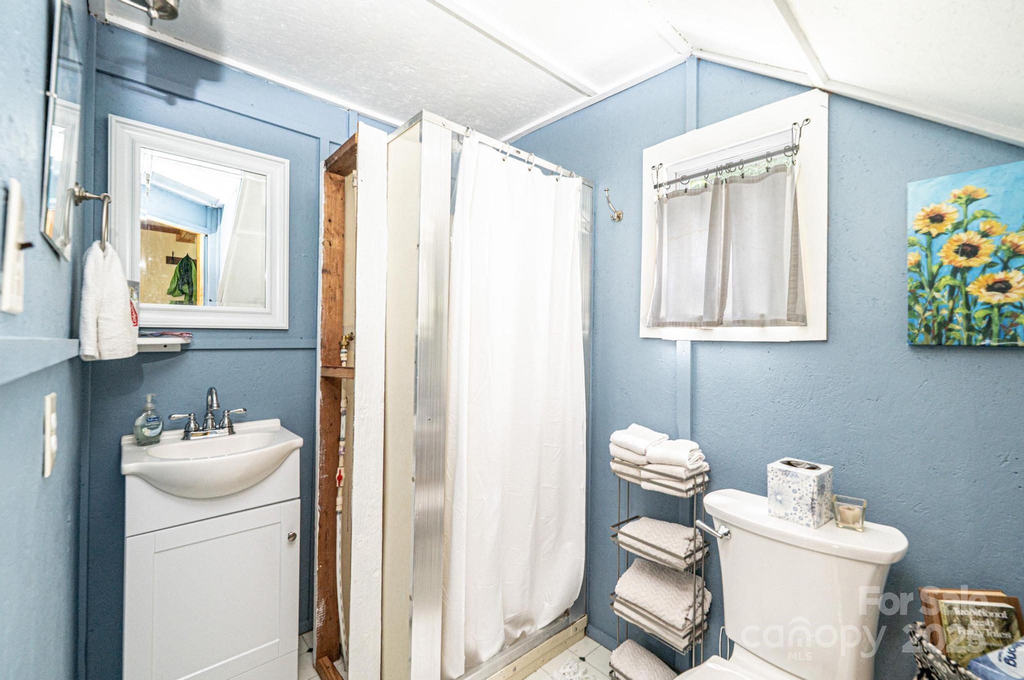 4462 Maple Grove Church Road Collettsville, NC 28611 - Photo 11 of 19 a bathroom with a toilet sink vanity and mirror