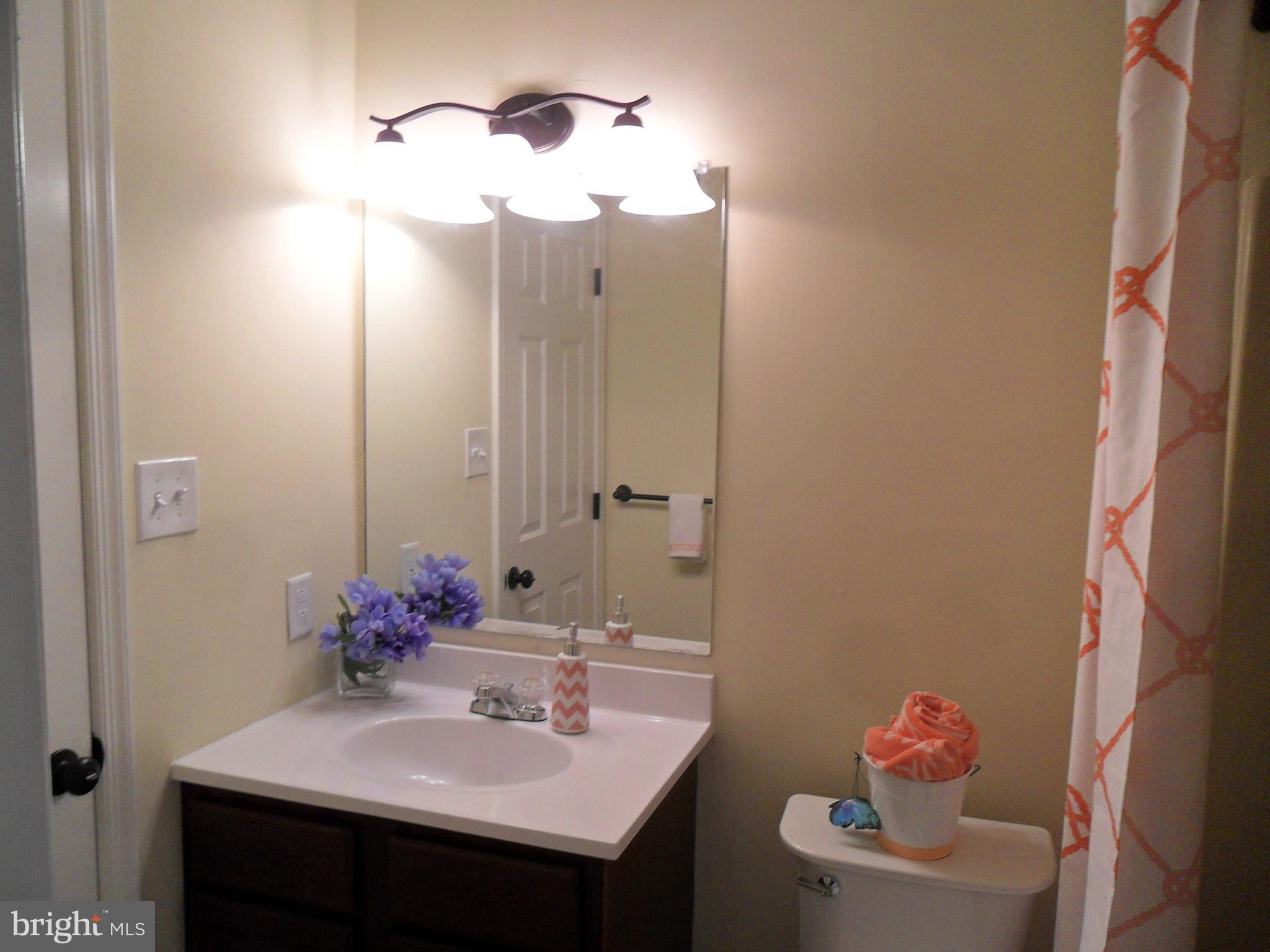 9 Delaware Street, Unit 9 New Castle, DE 19720 - Photo 19 of 28 a bathroom with a sink vanity and a mirror