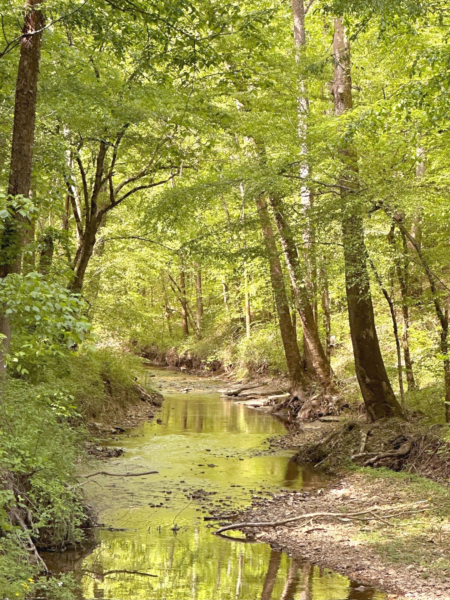 7107 Wells Cemetery Road Dickson, TN 37055 - Photo 35 of 59 a view of an ocean